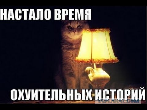 Вдуть или не вдуть.