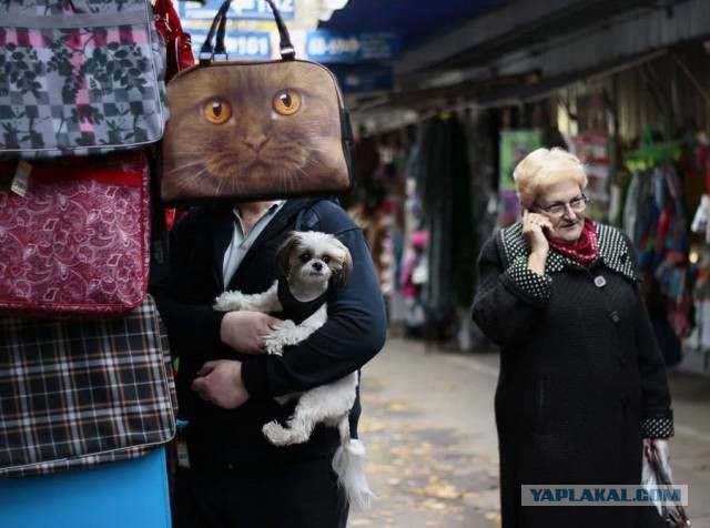 Прикольные картинки