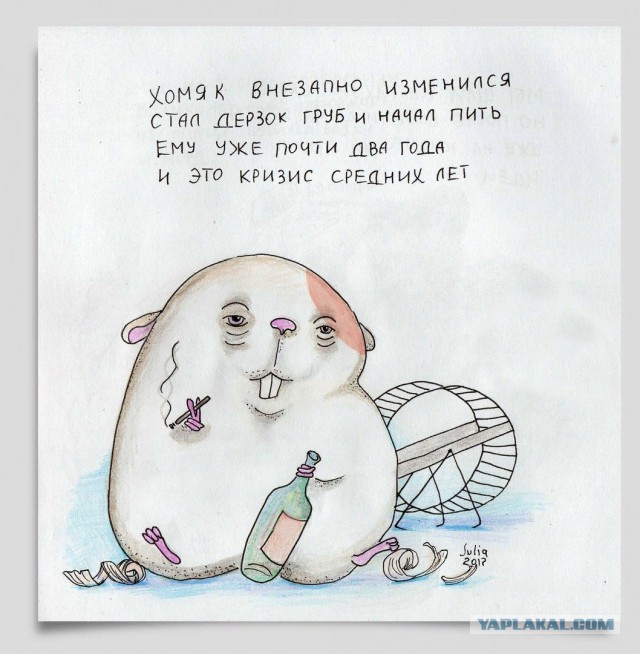 Нестандартный юмор