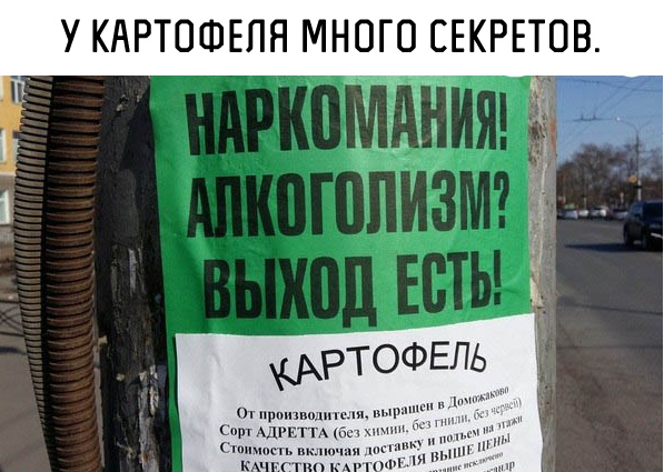 Подборка интересных и веселых картинок