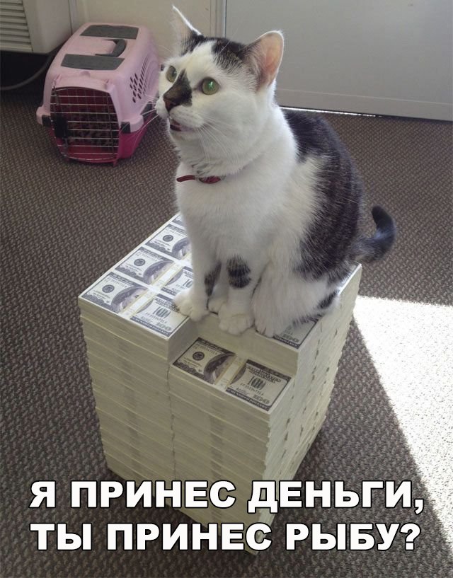 Прикольные картинки абавсём