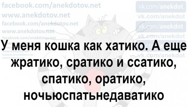 Правда жизни ©Кот