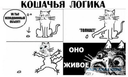 Картинки юморные и тексты