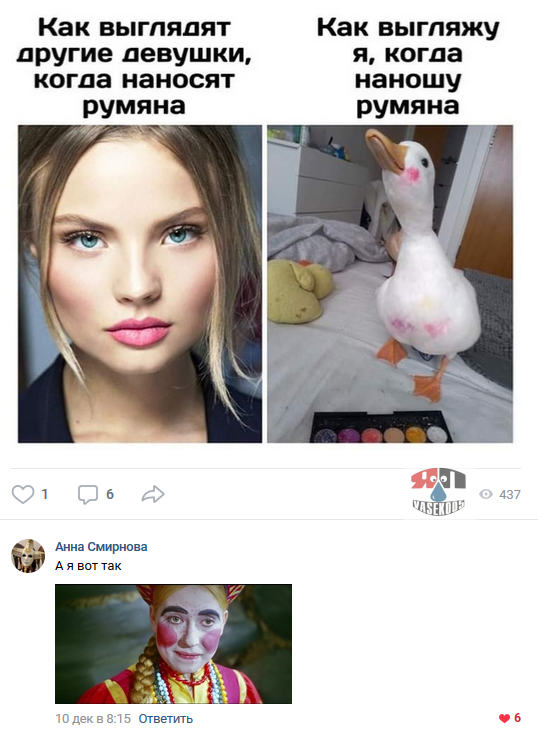 12405706.png