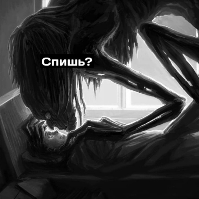 Запрещённые вещества подвезли