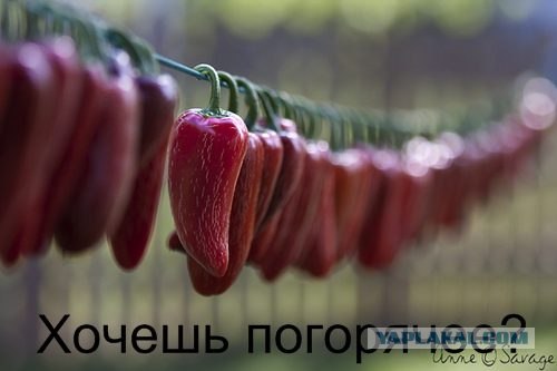 Фантазии на тему рекламы в интернете