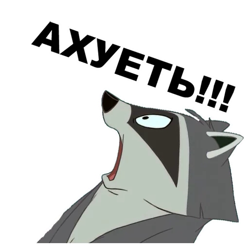 Енот толик картинки