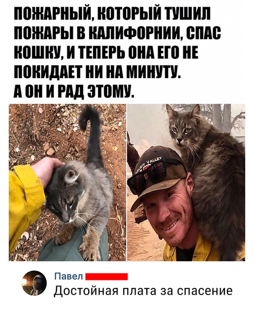 Чуток картинок! 03.01.20