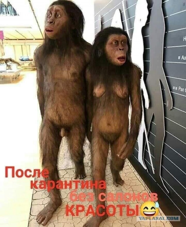 Немного картинок для настроения 28.03.20