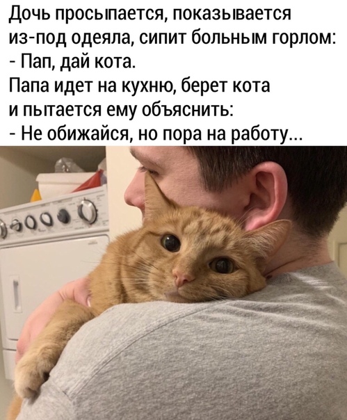 Немного картинок для настроения 30.04.20