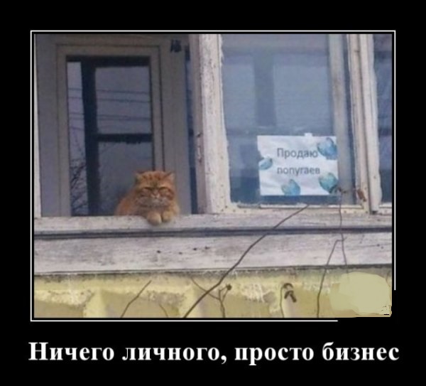 Немного картинок для настроения 12.05.20