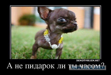 Когда мужчине пора снизить планку