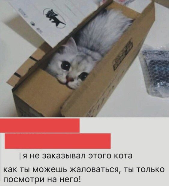 Немного картинок для настроения 24.07.20
