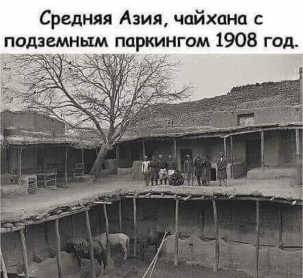 Прикольные и просто красивые картинки 14.01.2021