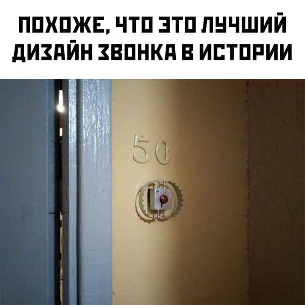 15137706.jpg