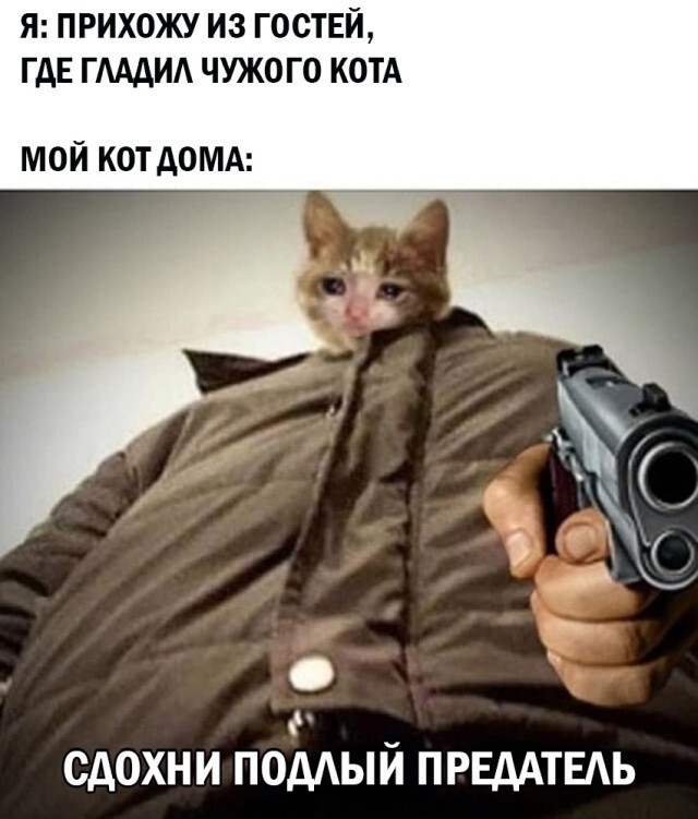 Баянисто-небаянистый юмор 9.04.21