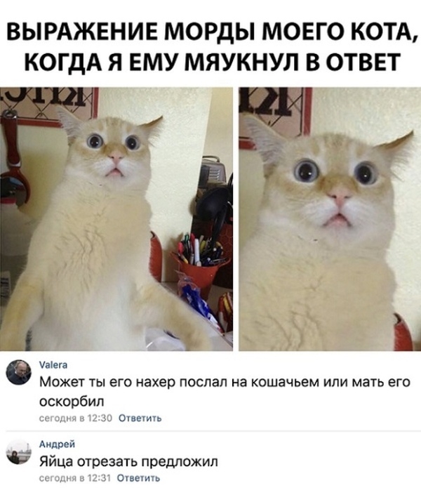 Картинки и мемы для настроения 020
