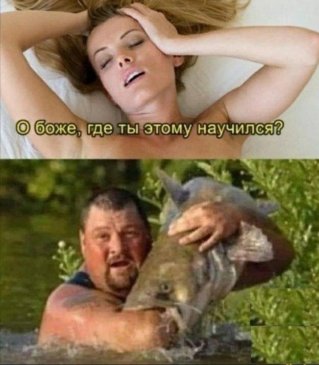 Всё сома, сома
