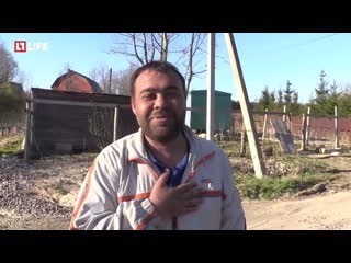 Вынужденная покупка новых смартфонов - всё. Еврокомиссия потребовала семилетней поддержки и обновлений