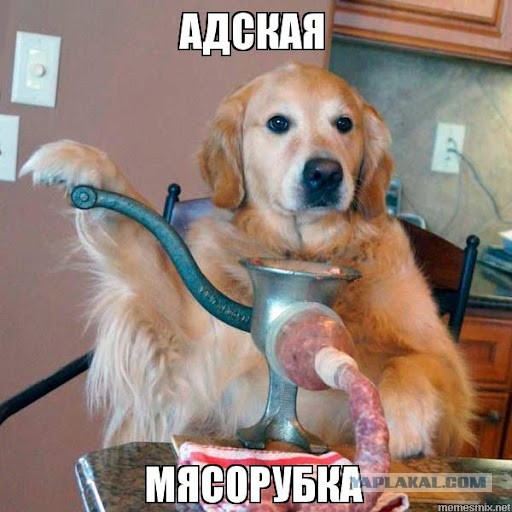 К чему нас готовят?