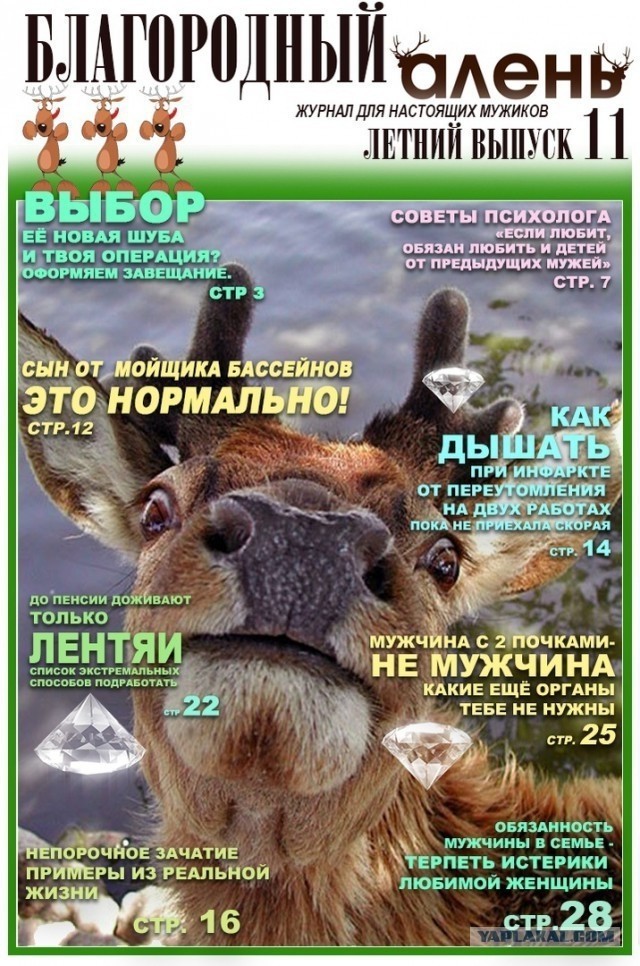 Женщине не знакомы такие слова как «мораль» и «совесть»