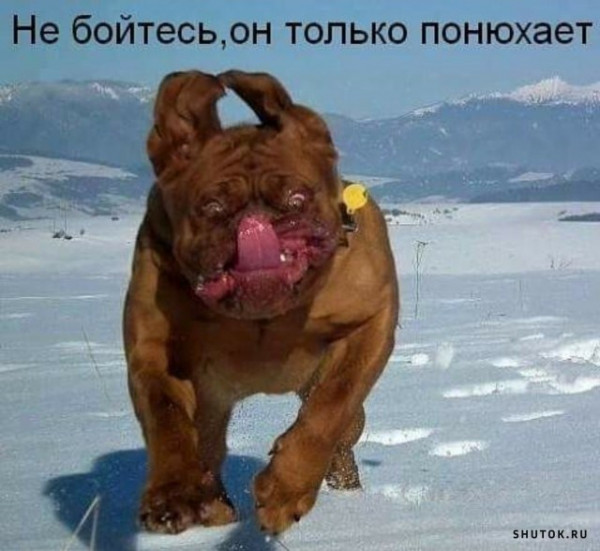 Спасибо