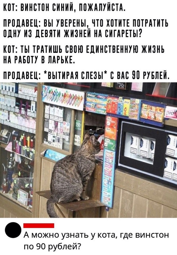 Так себе картинки 31.12.21