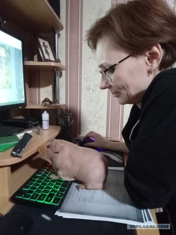 Бывший муж выгнал и забрал авто. Кредит на мне