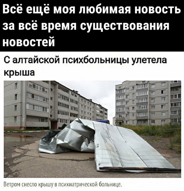 Картинки и мемы для настроения - 29