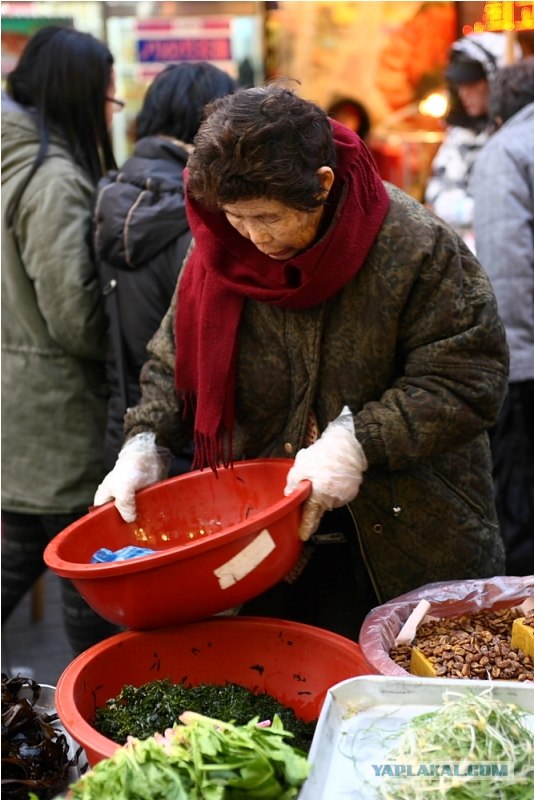 НЕтуристическая Корея