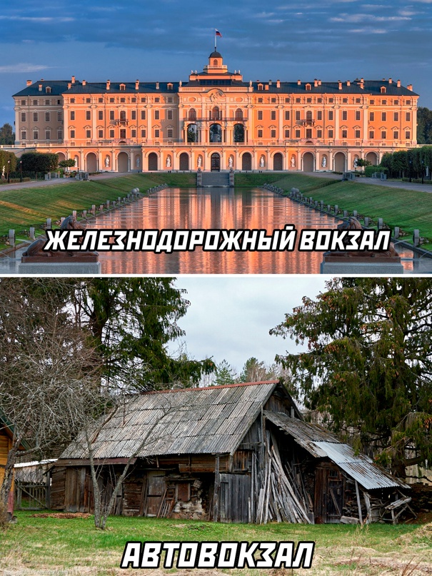 Весёлый полтишок 20.07.2022