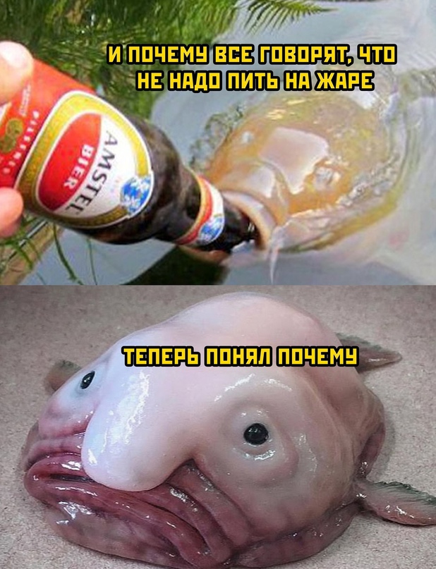 Немного картинок."Колбасный ветер". Август