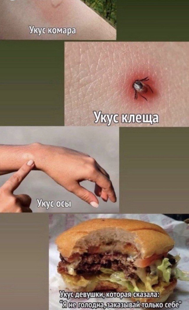 Картинки и мемы, всем хороших выходных