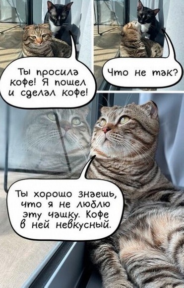 Немного картинок для настроения - 114