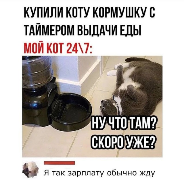 Картинки и мемы, выходные продолжаются