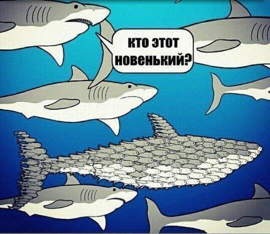 Немного картинок о жизни. Ном.1
