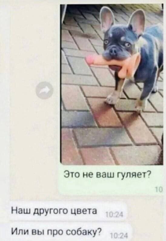Чёрно-пошлая деградация