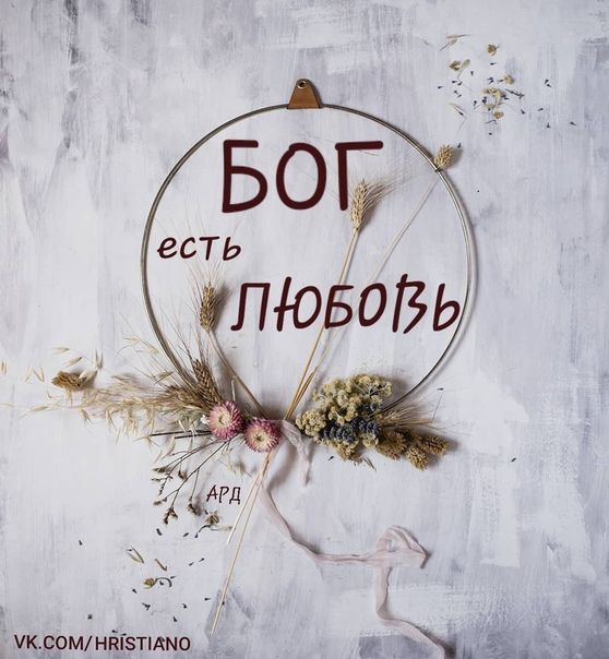 Прикольные и просто красивые картинки 16.06.2023