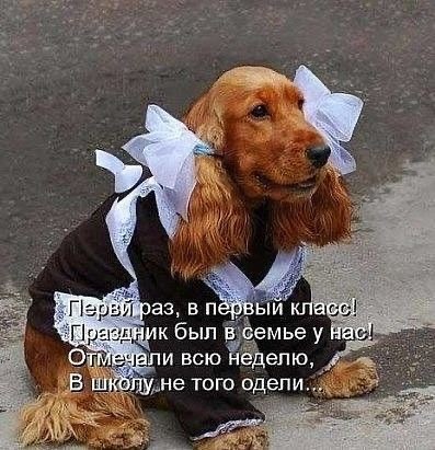 Картинки от Scodero 4