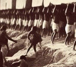 Окончательный ответ как строились египетские пирамиды, коллеги.