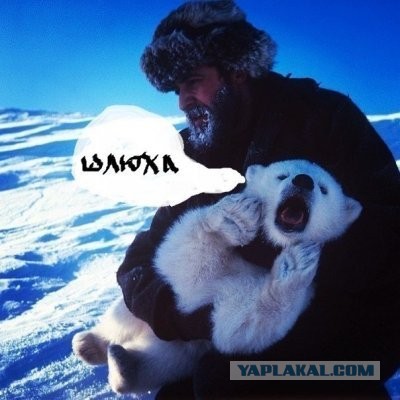 Целуя девушек