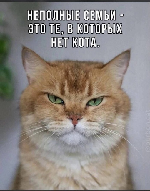 Чуток картинок 10.02.24