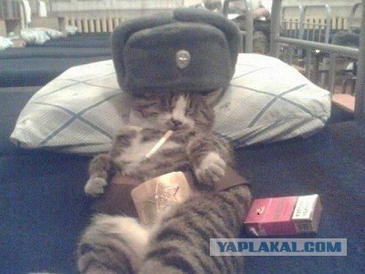 Кормящую мамочку выгнали из фитнесс клуба. Но есть нюанс