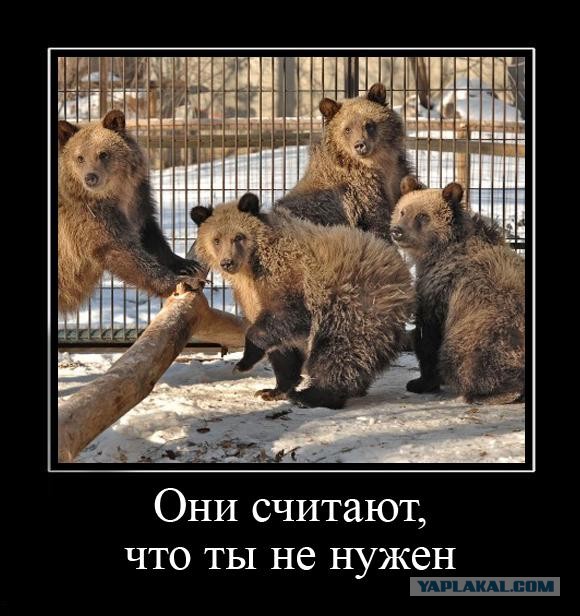 ЯП скоро закроют, судя по последним новостям