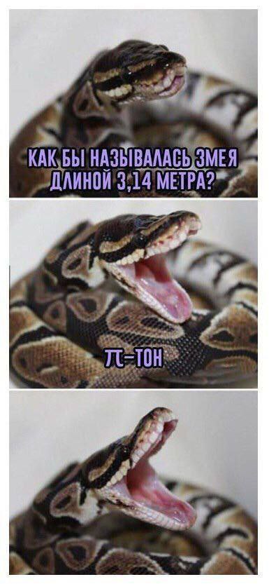 Никакие картинки