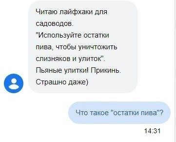 Всего понемногу. От 24.06.2024