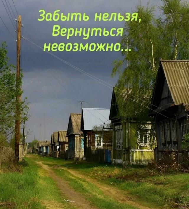 Немного забавных картинок от 18.08.2024
