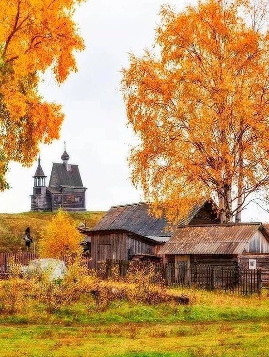Прикольные и просто красивые картинки 04.10.2024