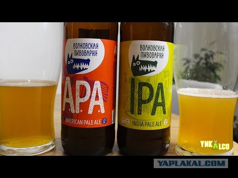 Опрос касаемо пива