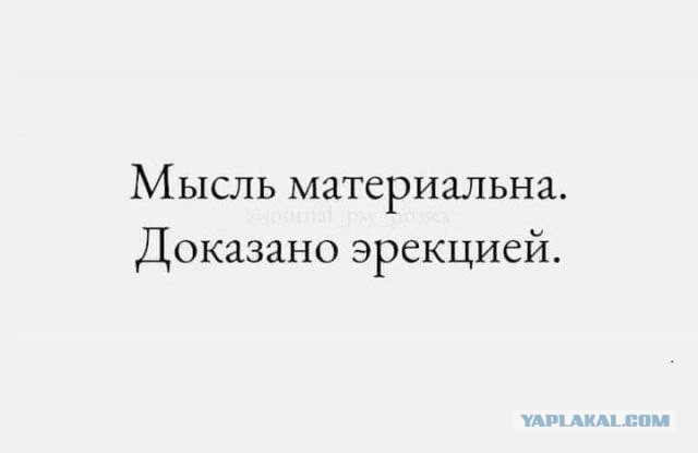 Веселые картинки на пятницу (15.11)